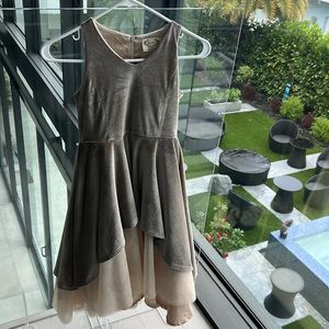 Gorgeous formal dress midi dress - velvet/tull/ creams